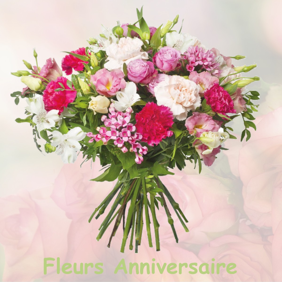 fleurs anniversaire MIREVAL-LAURAGAIS